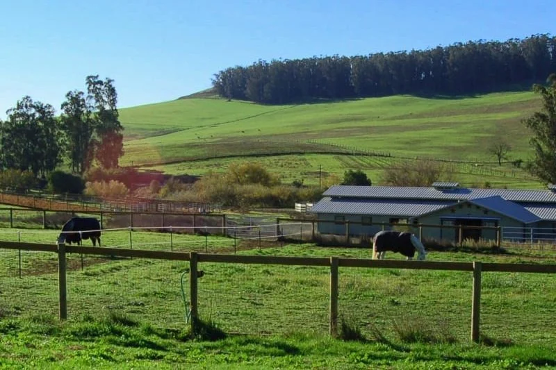 Grass paddocks and turnouts below the hills